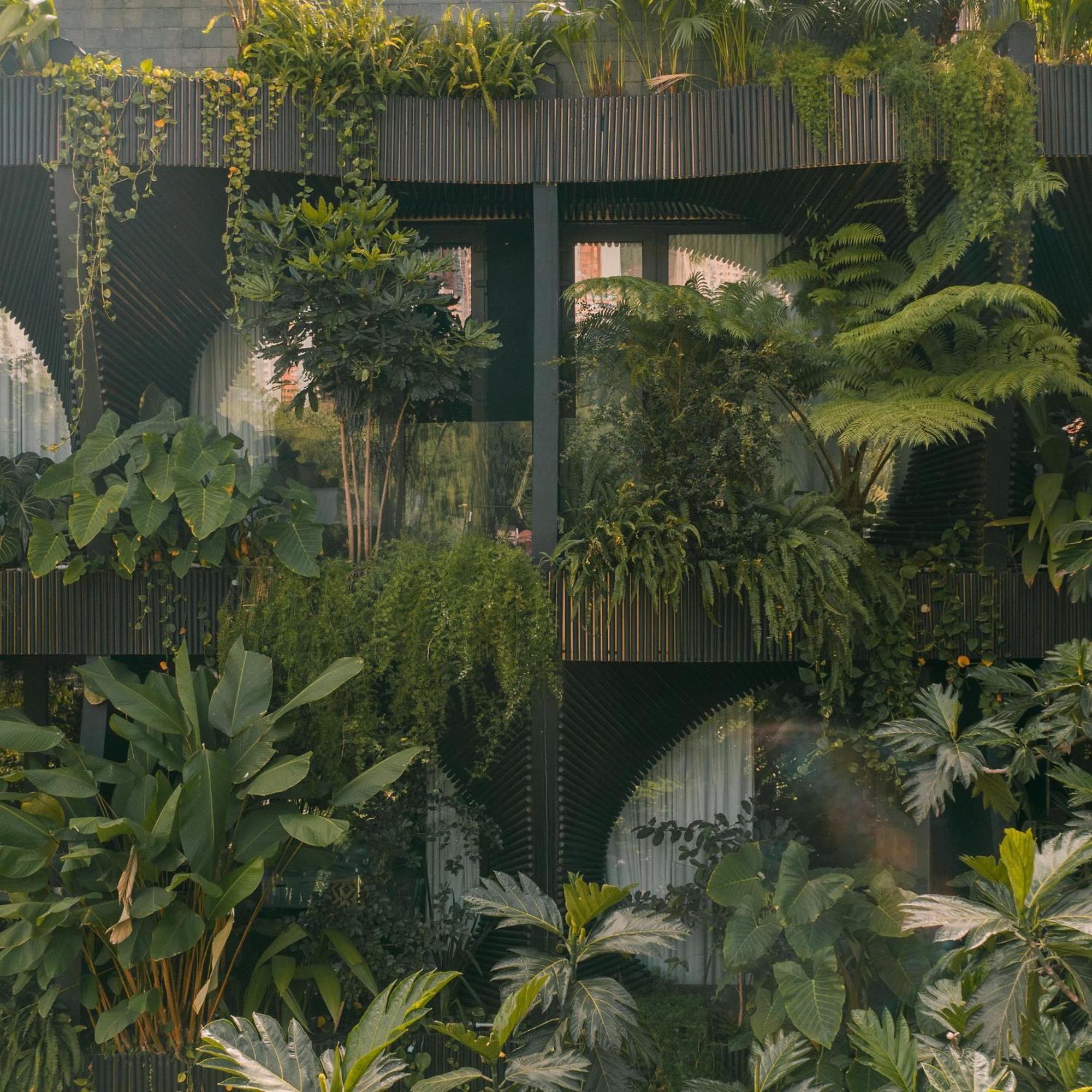 Selvario 36 Hotel Medellín Dış mekan fotoğraf