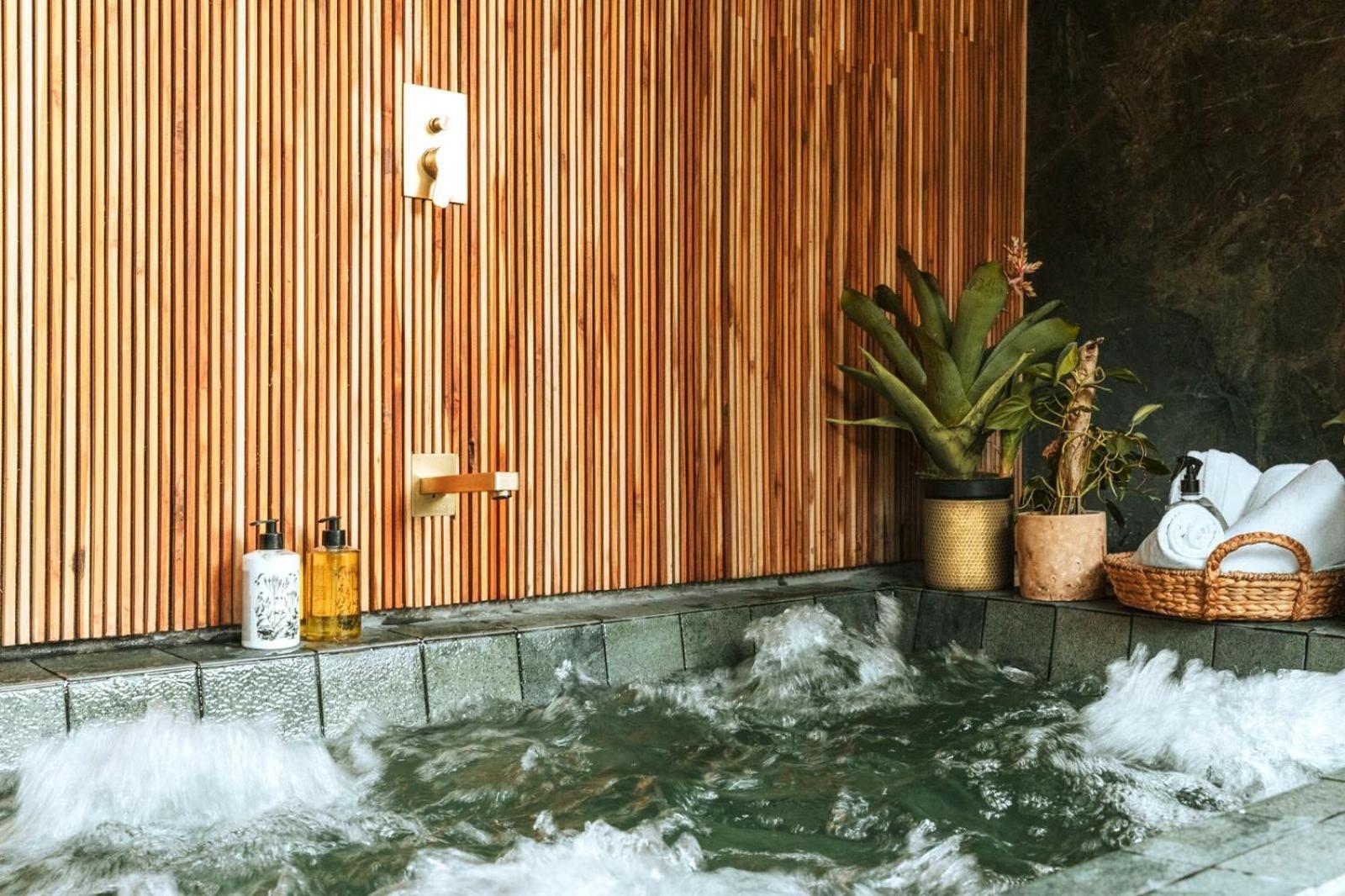 Selvario 36 Hotel Medellín Dış mekan fotoğraf