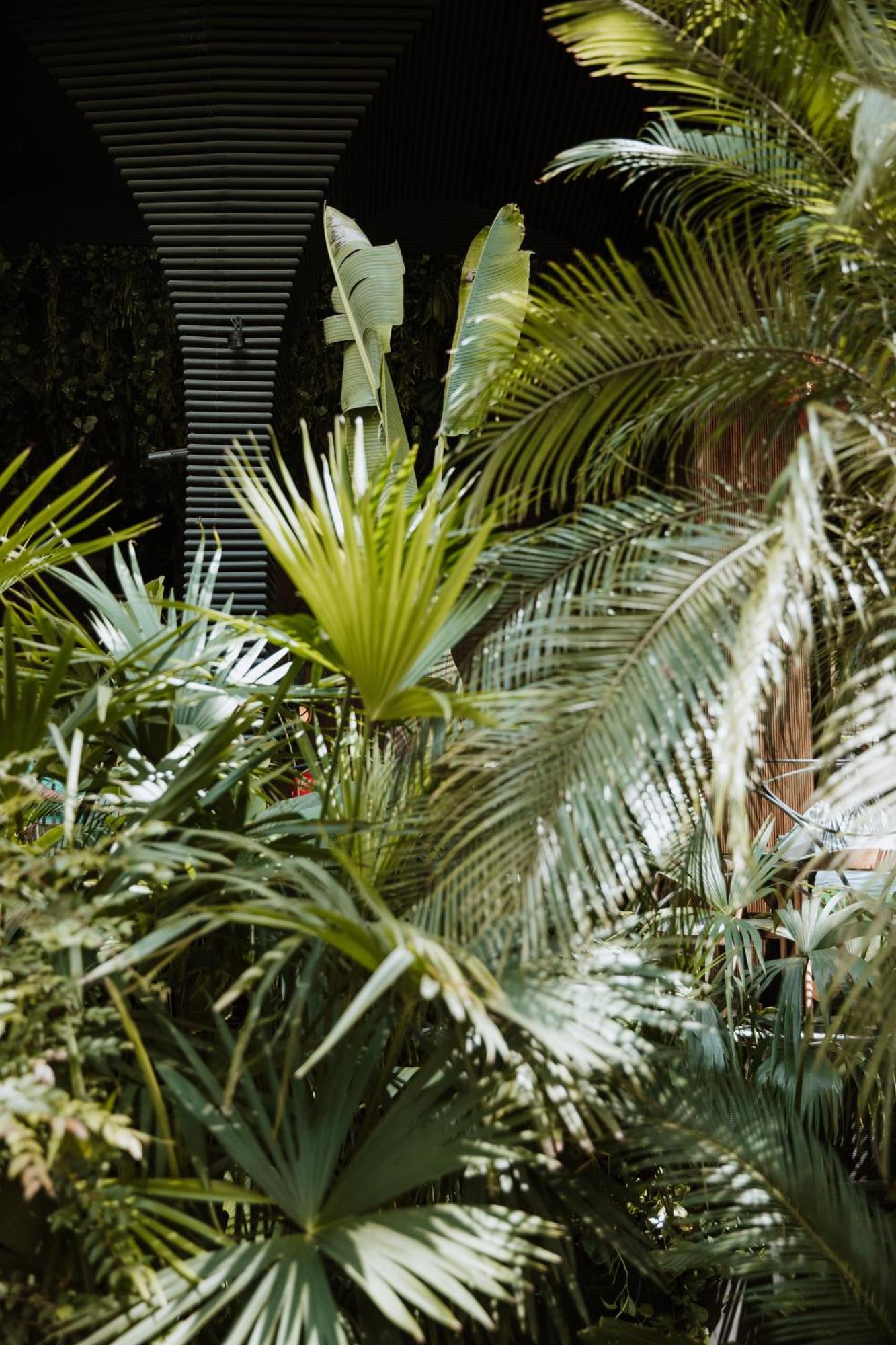 Selvario 36 Hotel Medellín Dış mekan fotoğraf